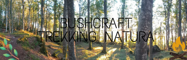 logo BUSHCRAFT